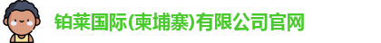 铂莱国际
